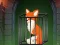Laro Fox in the Forgotten Ruins online