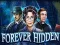Laro Forever Hidden online