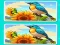 Laro Spot the Difference The Garden online