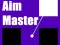 Laro Aim Master online