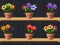 Laro Good Flower Master online