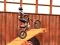 Laro Xtreme Moto Mayhem online