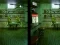 Laro Robot Bar Spot the differences online