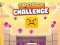 Laro Sponge Challenge online