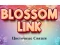 Laro Blossom Link online