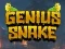 Laro Genius Snake online