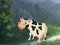 Laro Cow Reach the Shed online