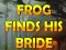 Laro Frog Finds His Bride online