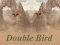 Laro Double Bird online