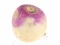 Laro Turnip online