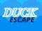 Laro Duck Escape online