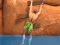 Laro Ragdoll Rock Climber online