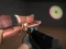 Laro Police Assault online