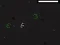 Laro Bad Timing online