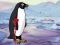 Laro Heal the Wounded Penguin online