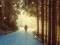 Laro Winter Hidden Stars online