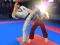 Laro Karate Fighter online