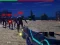 Laro Zombie Survivor online