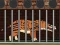 Laro  Andrewsarchus Release from Cage online