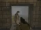 Laro Silent Asylum 2 online