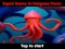 Laro Squid Game In Dalgona Panic online
