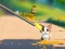 Laro Cat Challenge online