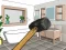 Laro Smash The Room To Pieces online