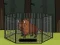 Laro Rescue the Bison from Cage online
