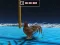 Laro Animal Impossible Track Rush online