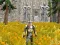 Laro Axe Of The Ancients Dwarven Fury online