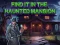 Laro Find It In The Haunted Mansion online