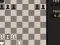 Laro Fun Chess Puzzles! online