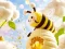 Laro Find The Differences: Little Bee's Adventure online