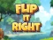 Laro Flip It Right online