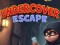 Laro Undercover Escape online