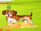 Laro Bunny Key Quest online