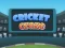 Laro Cricket Craze online