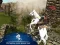Laro Ertugrul Gazi Horse Sim online