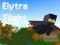 Laro Elytra Flight online