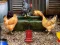 Laro Poultry Farm Easter Escape online