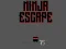 Laro Ninja escape online