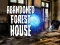 Laro Abandoned Forest House online