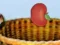 Laro Harvesting online