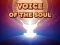 Laro Voice Of The Soul online