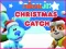 Laro Nick Jr. Christmas Catch online