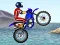 Laro FMX team online