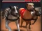 Laro Greyhound Racing online