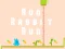 Laro Run Rabbit Run online