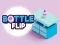 Laro Bottle Flip online