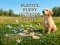 Laro Playful Puppy Outdoor Puzzle online
